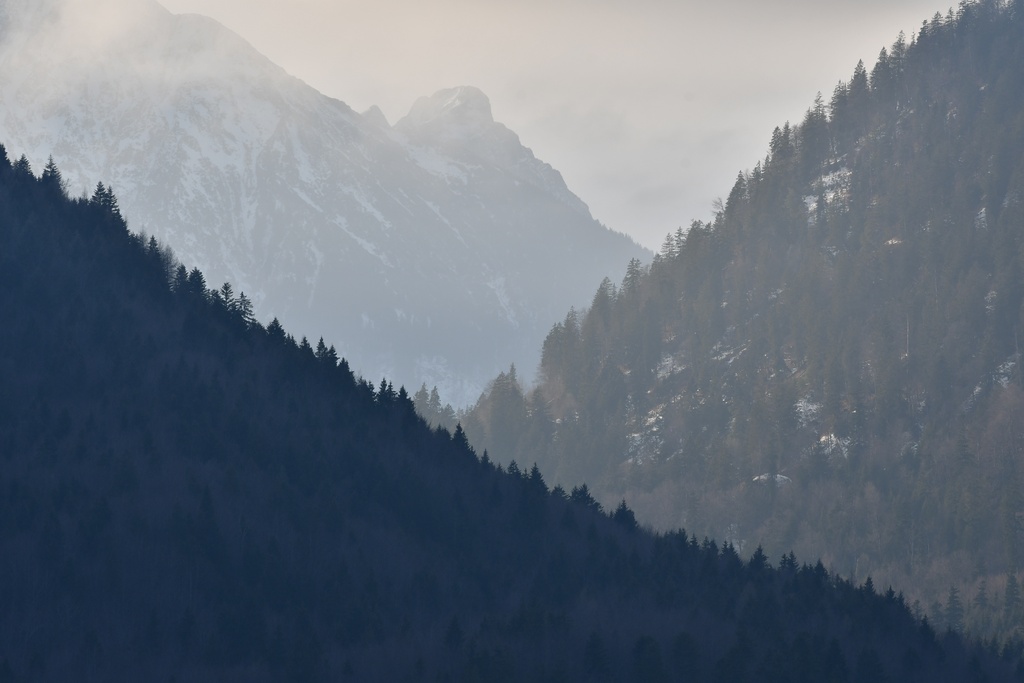 2018-12-29 Hohenschwangau/DSC_8751.JPG